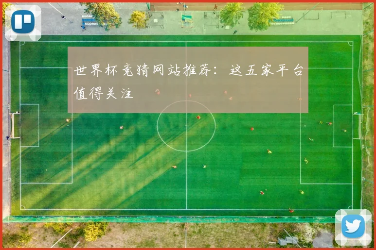 世界杯竞猜网站推荐：这五家平台值得关注