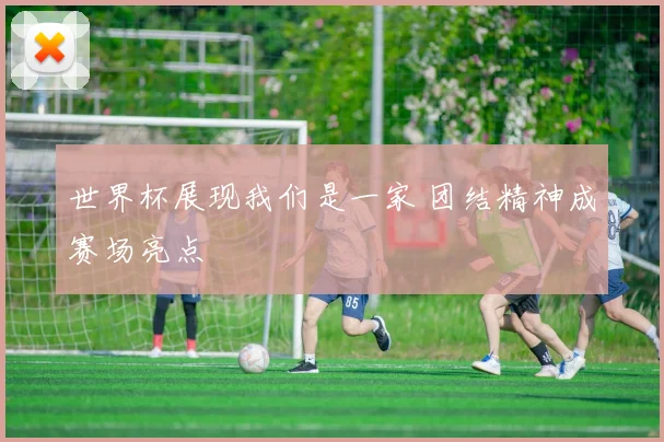 世界杯展现我们是一家 团结精神成赛场亮点