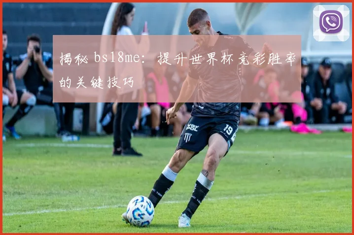 揭秘 bs18me：提升世界杯竞彩胜率的关键技巧