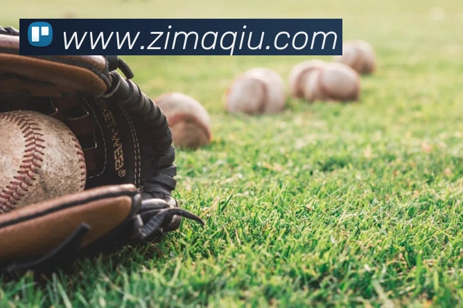 世界杯app官网平台生态图